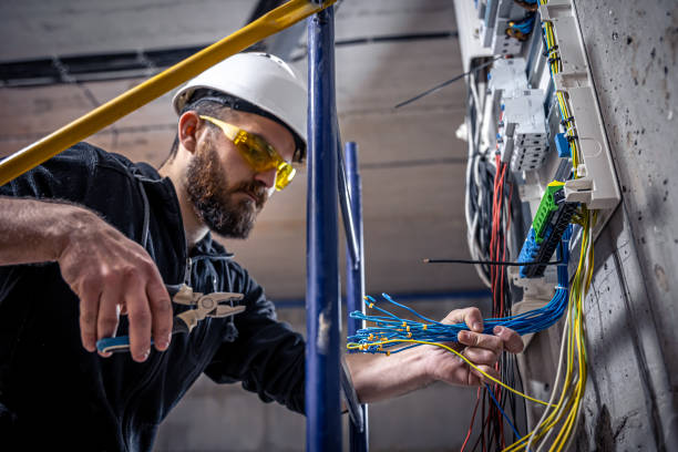 Best Electric Panel Repair  in Eddyville, KY